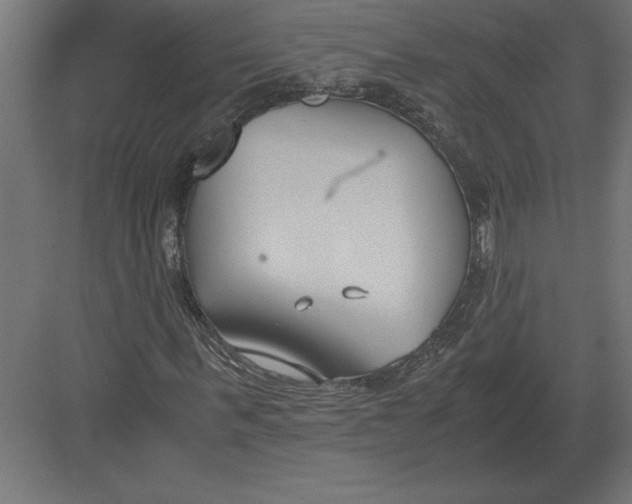 X0000082150963200702092147