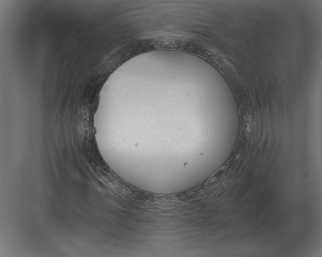 X0000082150964200702092147