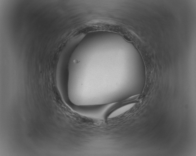 X0000082150965200702092147