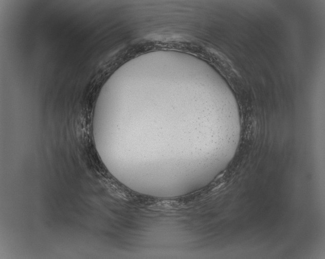 X0000082150966200702092147