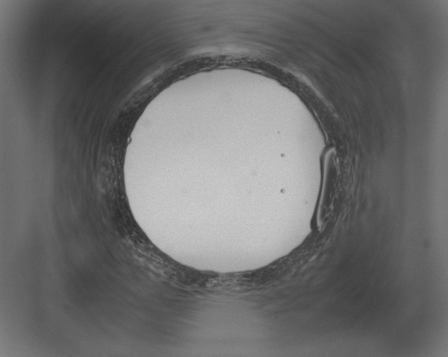 X0000082150967200702092147