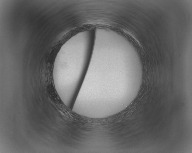 X0000082150968200702092147