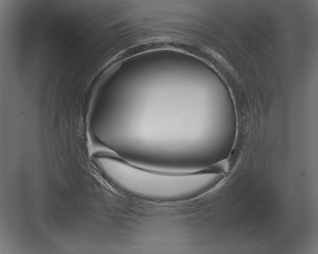 X0000082150969200702092147