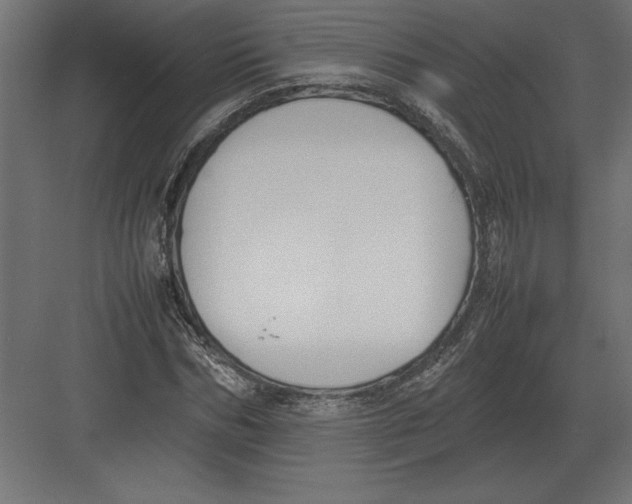 X0000082150970200702092147