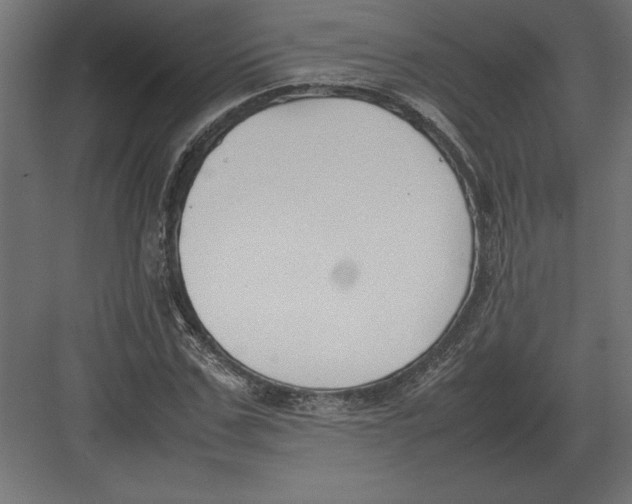 X0000082150971200702092147