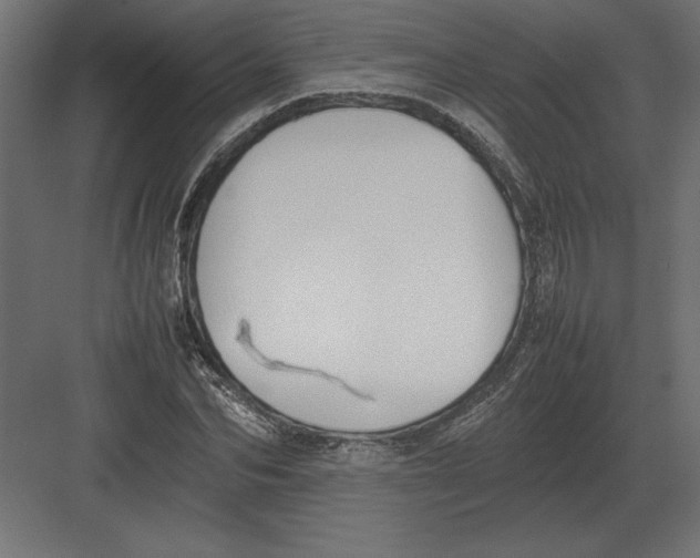 X0000082150974200702092147