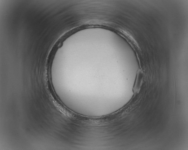 X0000082150976200702092147