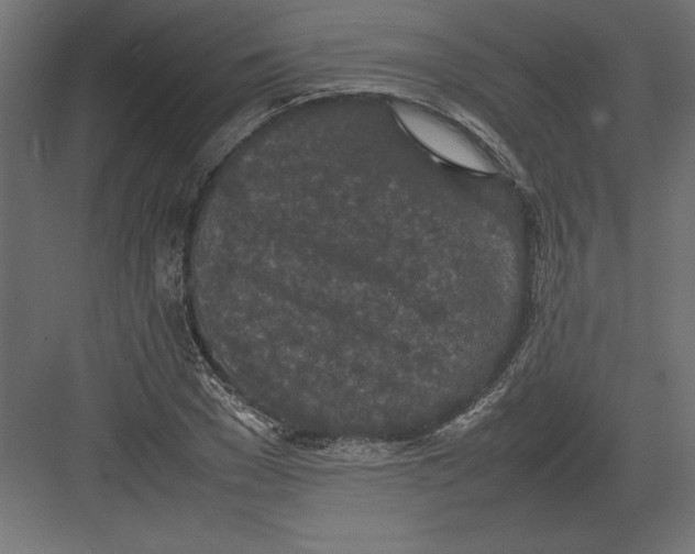 X0000082150977200702092147