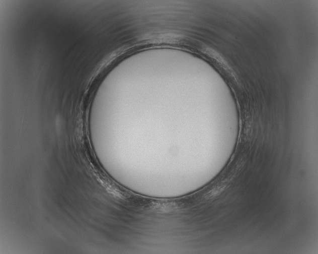 X0000082150978200702092147