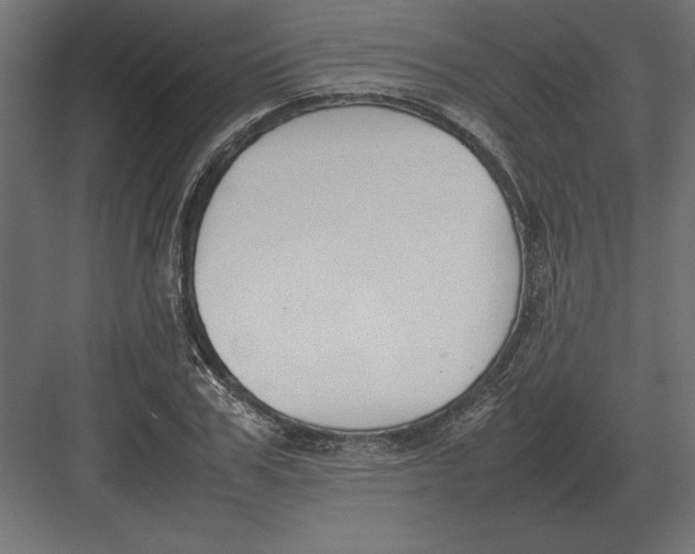 X0000082150979200702092146