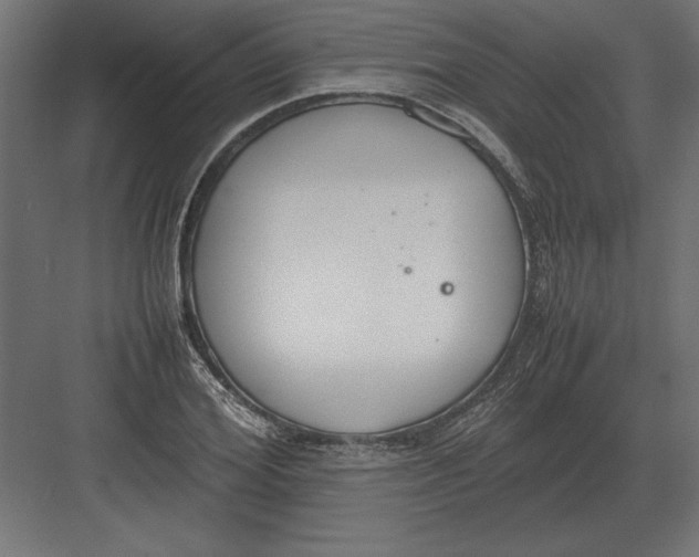 X0000082150980200702092146