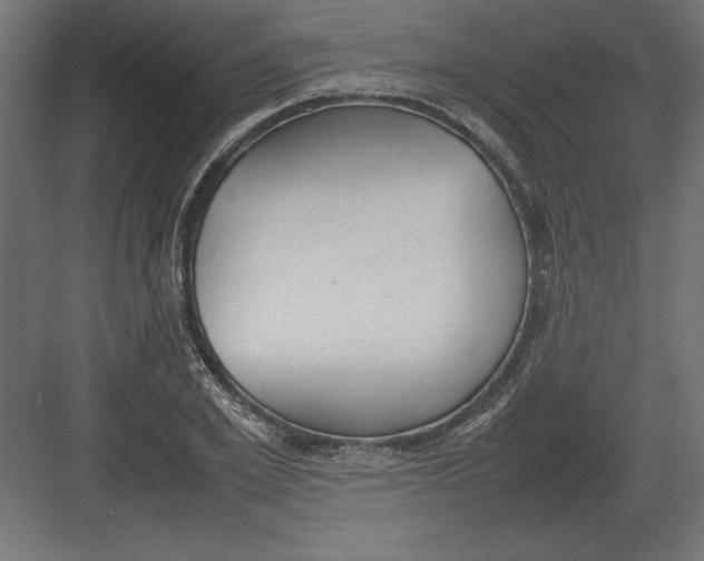 X0000082150981200702092146