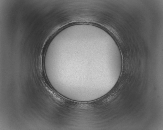 X0000082150982200702092146