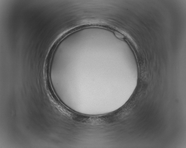 X0000082150983200702092146