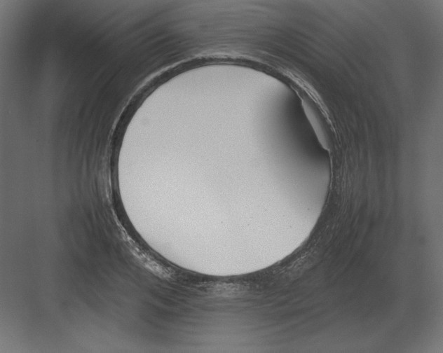 X0000082150984200702092146