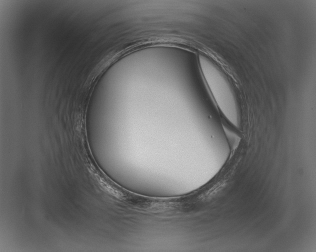 X0000082150985200702092146