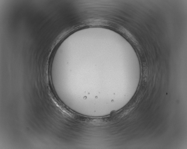 X0000082150986200702092146