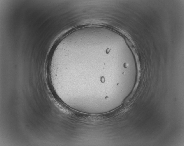 X0000082150987200702092146