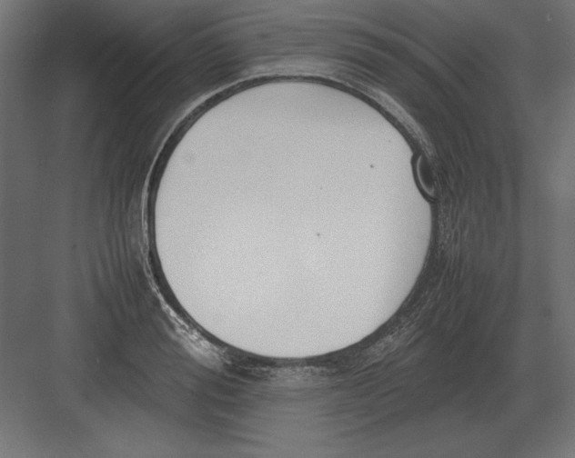 X0000082150988200702092146