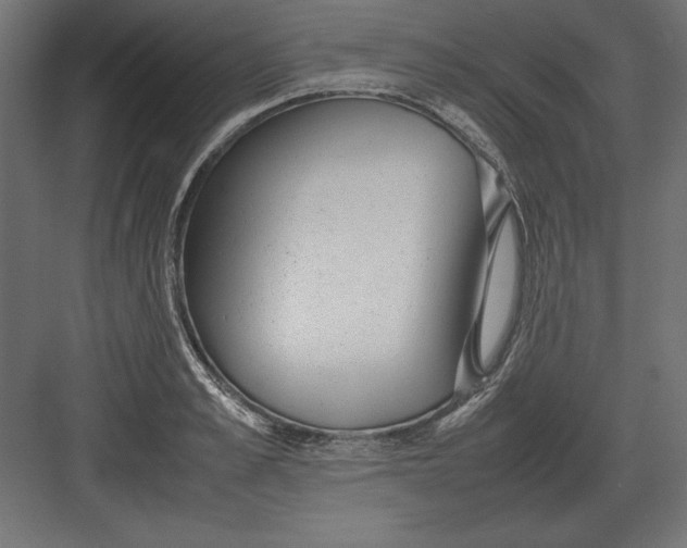 X0000082150989200702092146