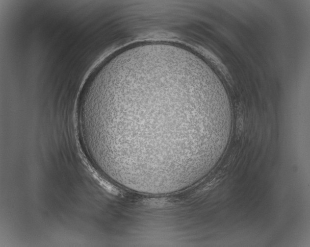 X0000082150990200702092146