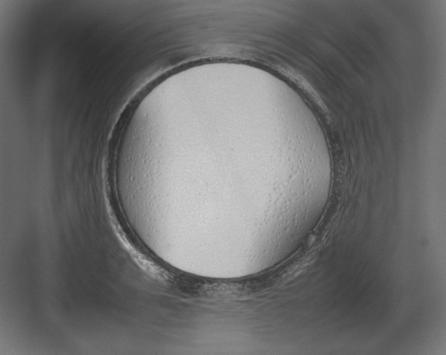 X0000082150991200702092146