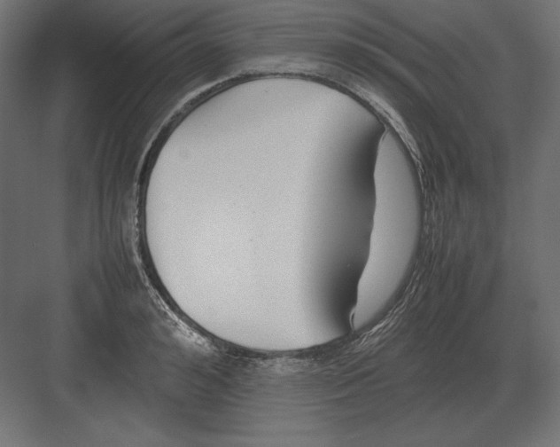 X0000082150992200702092146