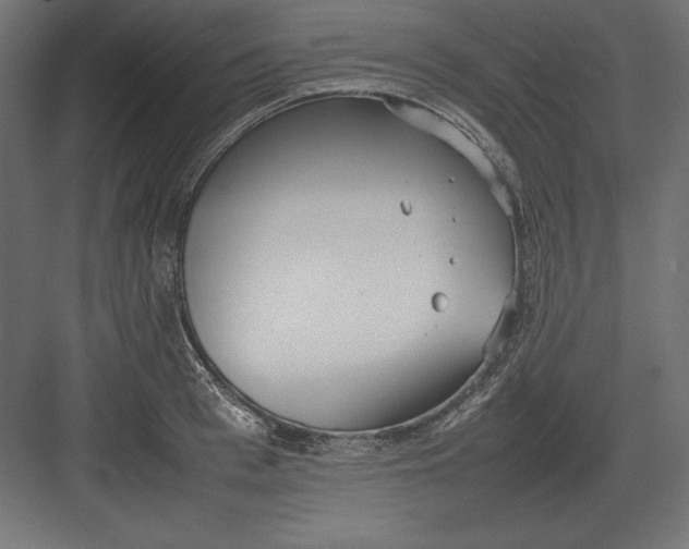 X0000082150993200702092146