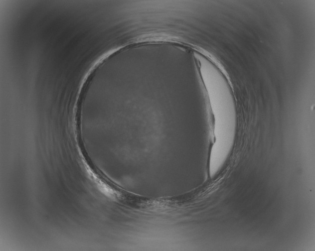 X0000082150995200702092146