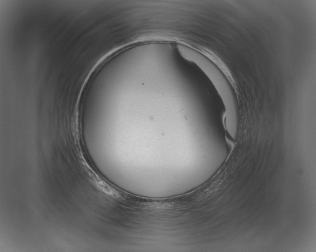 X0000082150996200702092146