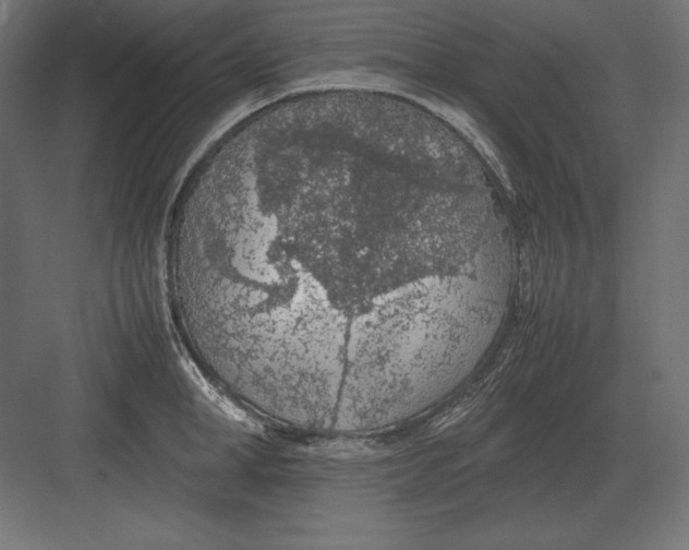 X0000082150998200702092146