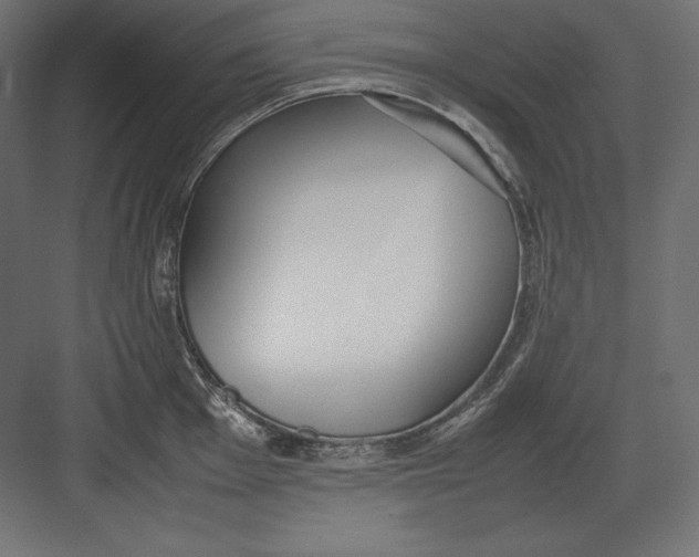 X0000082151001200702092146