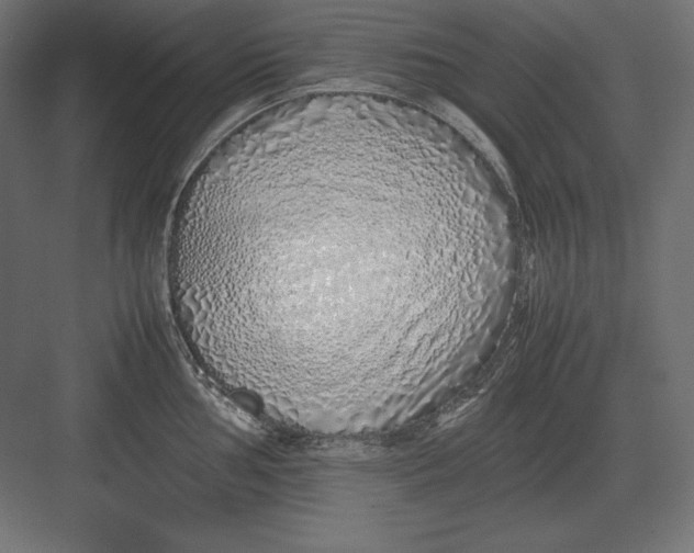 X0000082151002200702092146