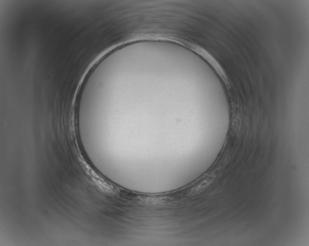 X0000082151004200702092146