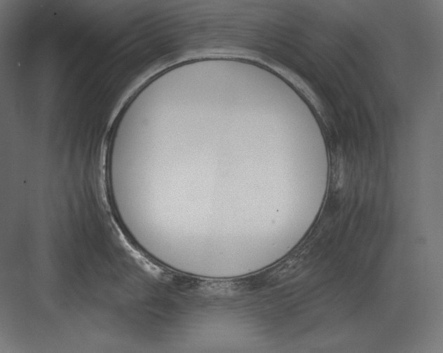 X0000082151006200702092146