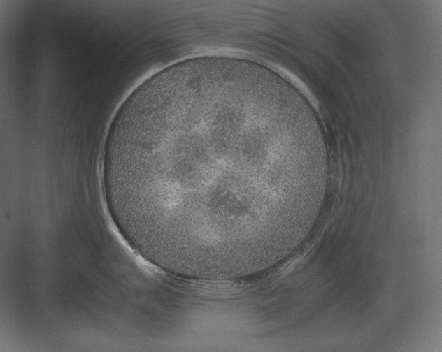 X0000082151007200702092146