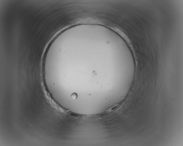 X0000082151008200702092146