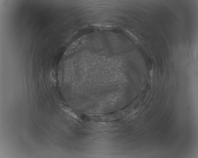 X0000082151010200702092145