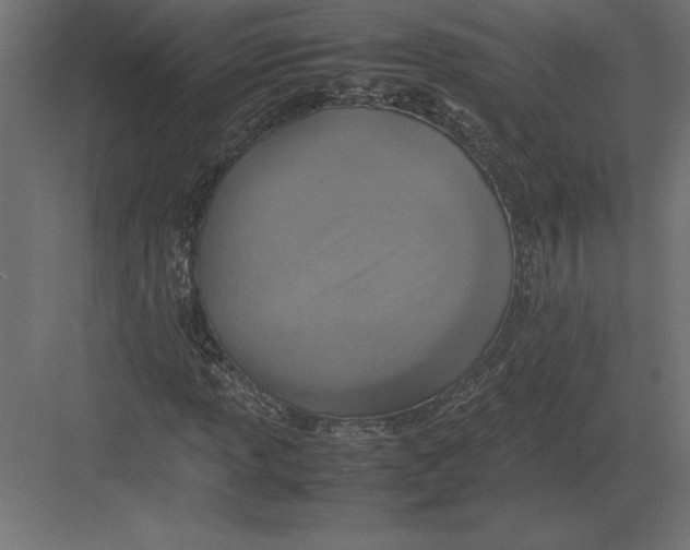 X0000082151013200702092145