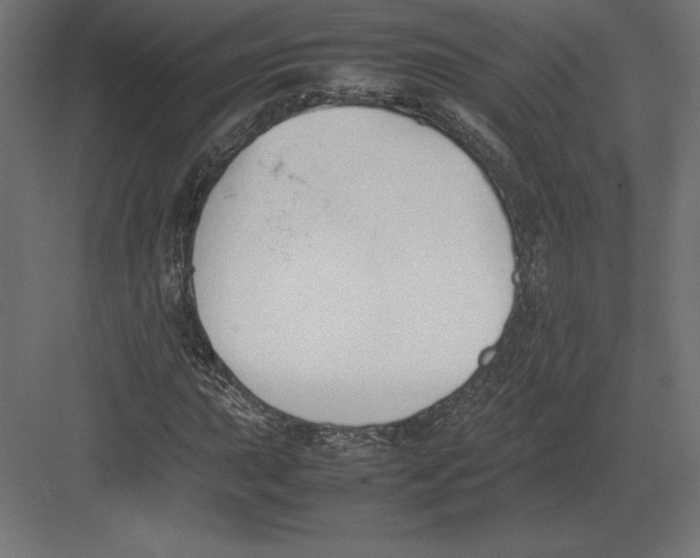 X0000082151015200702092145