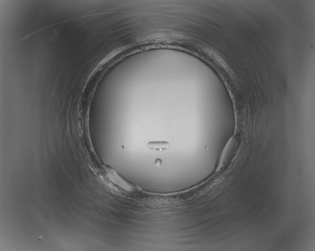 X0000082151018200702092145