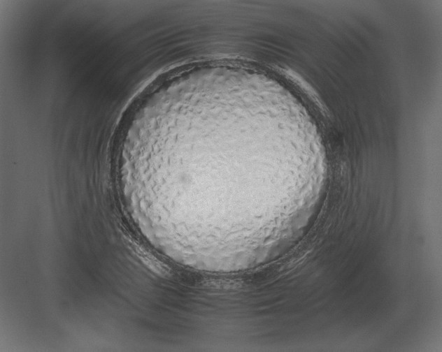 X0000082151023200702092145