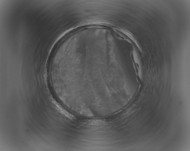 X0000082151024200702092145