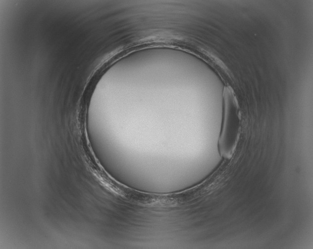 X0000082151026200702092145