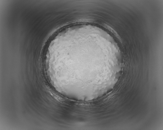 X0000082151027200702092146