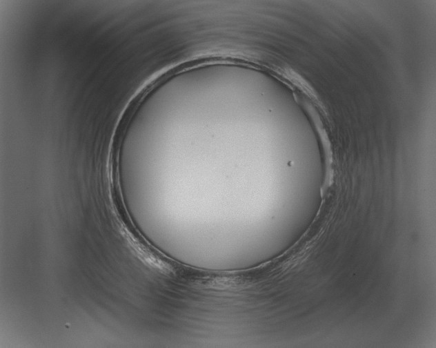 X0000082151028200702092146