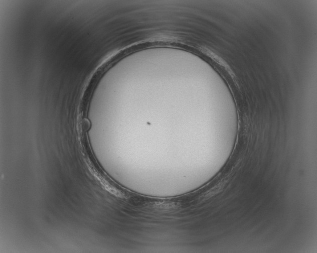 X0000082151029200702092146