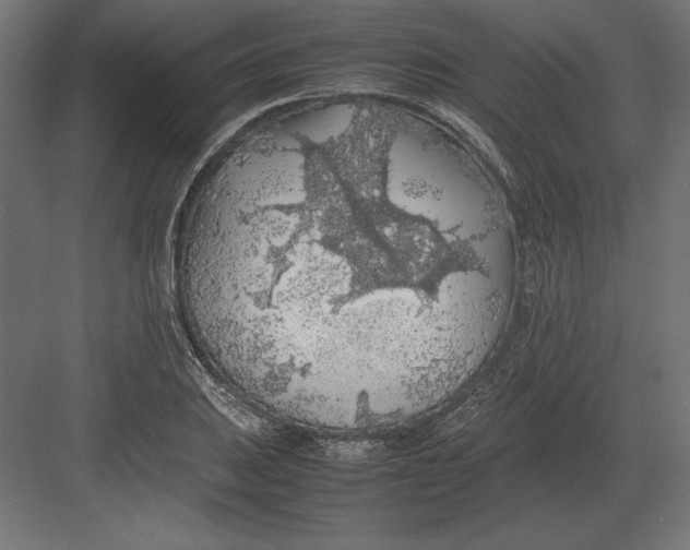 X0000082151031200702092146