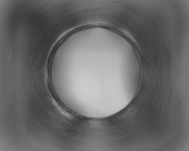 X0000082151032200702092146