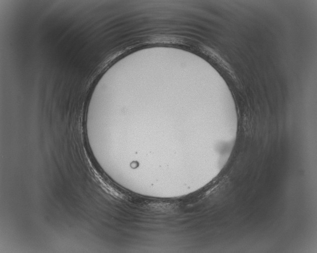 X0000082151033200702092146